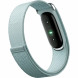 Фитнес-браслет Google Fitbit Air (Серо-голубой/Fog) в Оренбурге