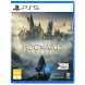 Игра Hogwarts Legacy. Exclusive DLC Astronomers Hat [PS5, русские субтитры] в Оренбурге